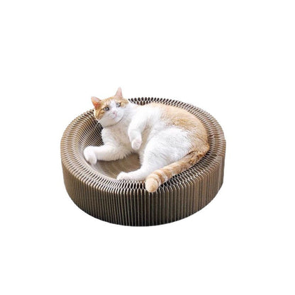 Kitty Kurlz - Meowjoy's Pet Shop